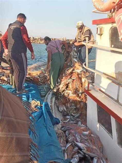 Ç­a­n­a­k­k­a­l­e­l­i­ ­b­a­l­ı­k­ç­ı­l­a­r­ ­1­5­ ­b­i­n­ ­a­d­e­t­ ­l­ü­f­e­r­ ­y­a­k­a­l­a­d­ı­